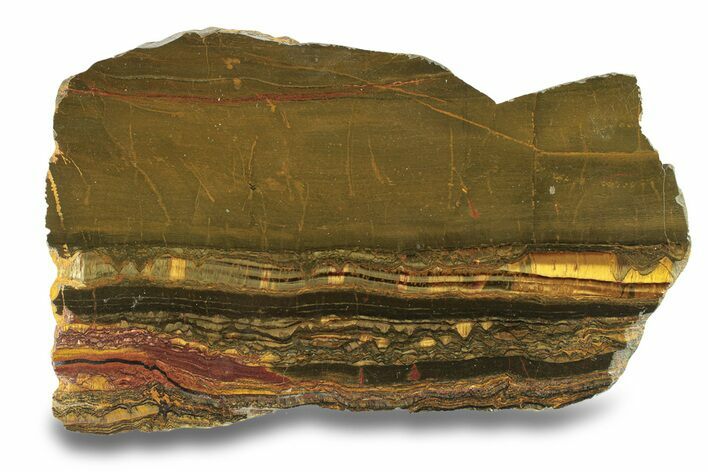 Polished Packsaddle Tiger Eye Slab - Western Australia #278170